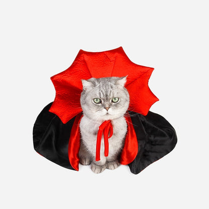 Halloween Cat Cloak