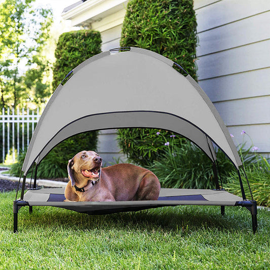 Pet Canopy Bed