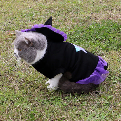 Wizard Pet Halloween Costume