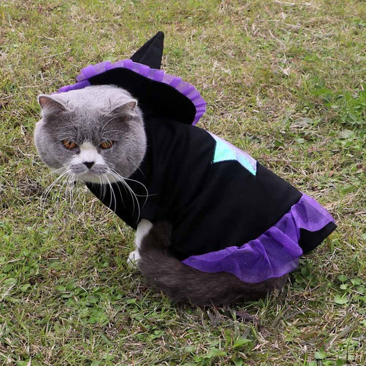 Wizard Pet Halloween Costume