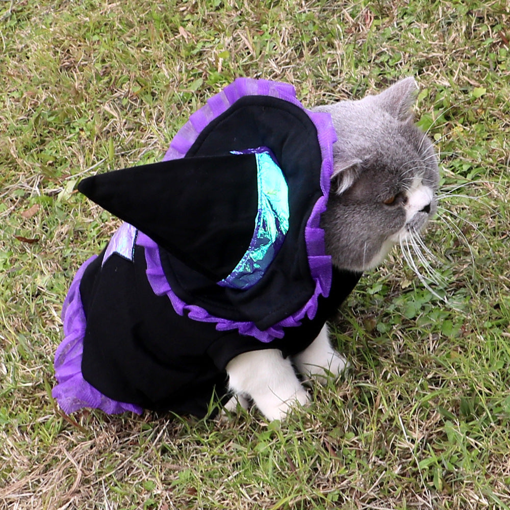 Wizard Pet Halloween Costume