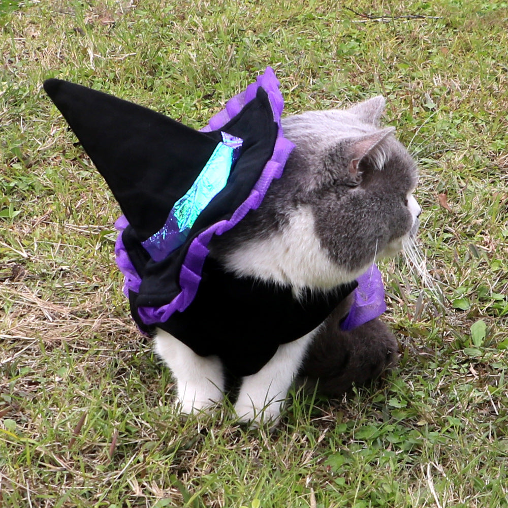 Wizard Pet Halloween Costume