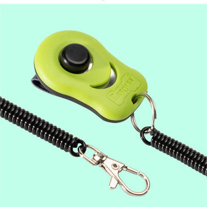 Dog Training Artifact Equipment